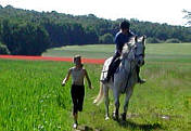 Ride & Tie - Ein Wettrennen mit einem Pferd und zwei Menschen